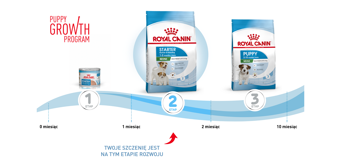 ROYAL CANIN Mini Starter Mother & Babydog 8 kg 